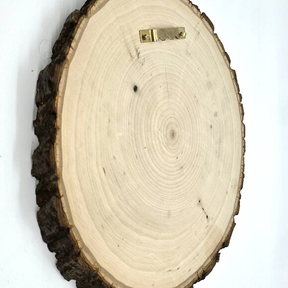 Highland cow wood burned art 8 x.75 in Round, live edge - Picture 3 of 9